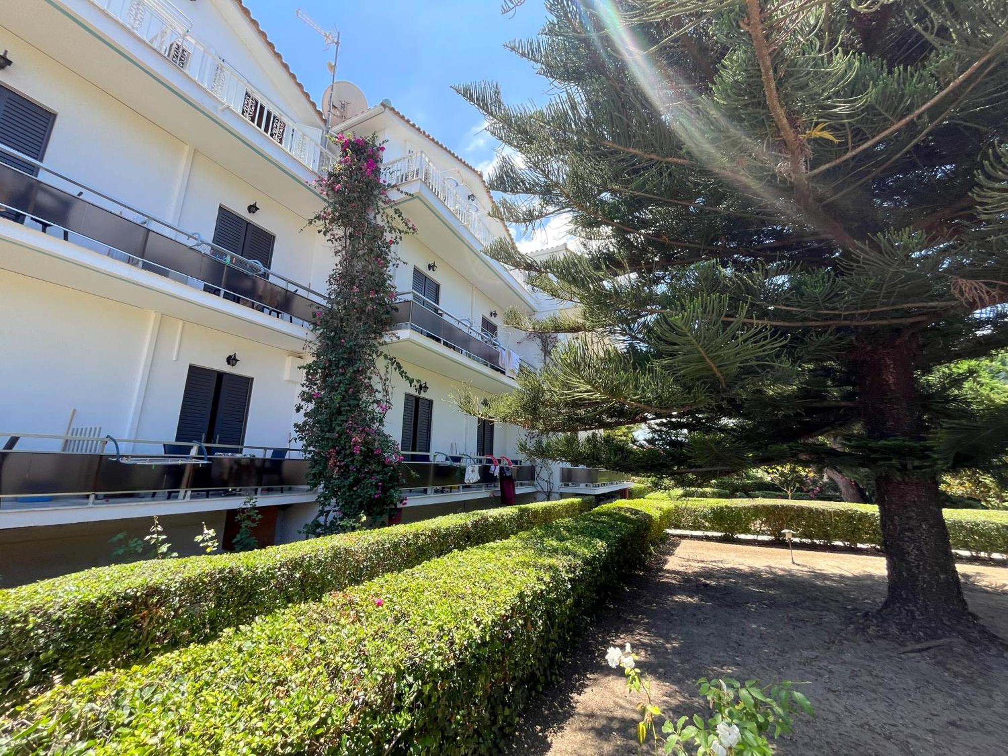 Pettas Zakynthos