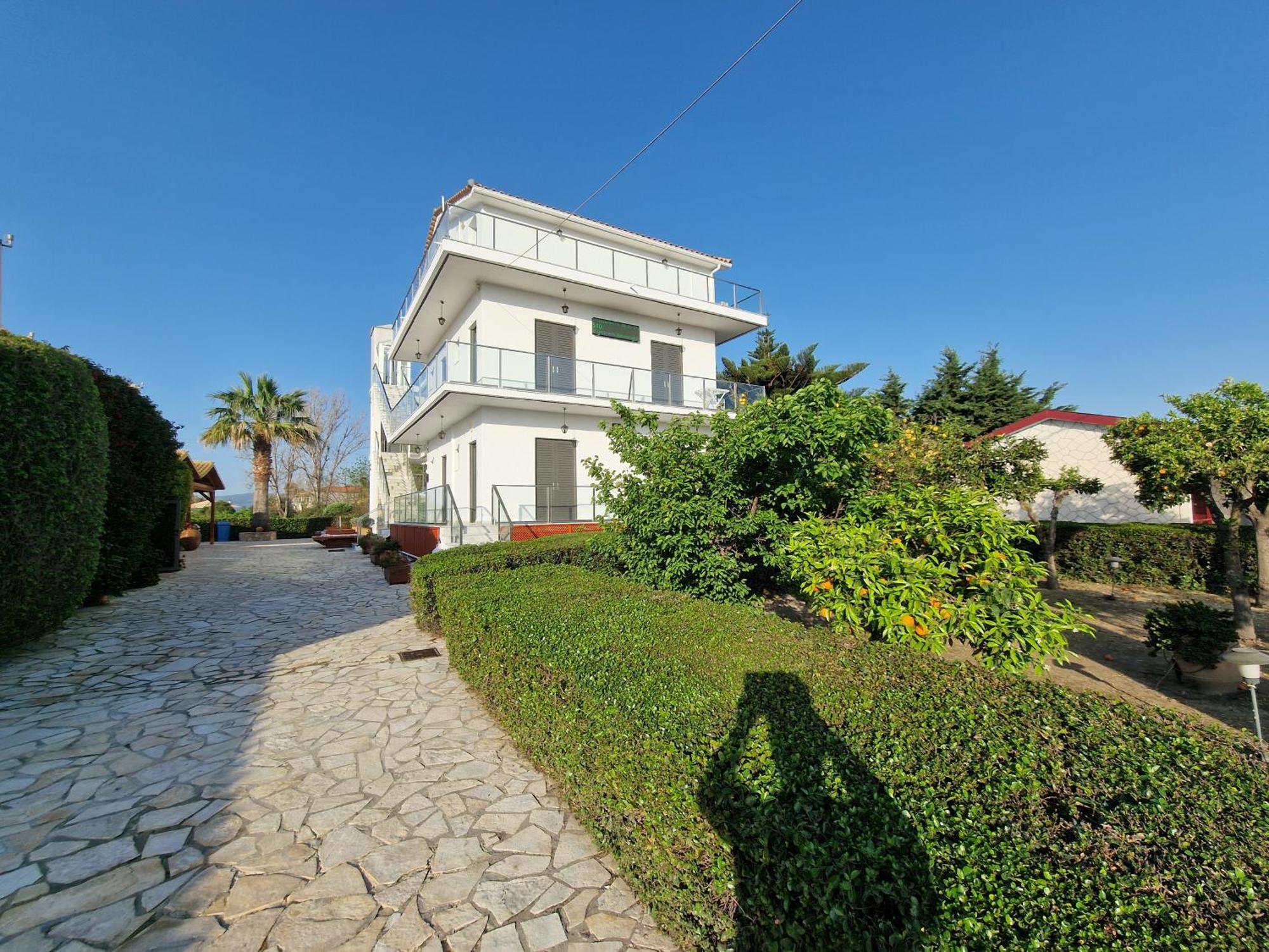 Pettas Zakynthos